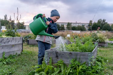 戴着帽子和夹克的男孩在公共花园用大罐子给植物浇水。全身肖像