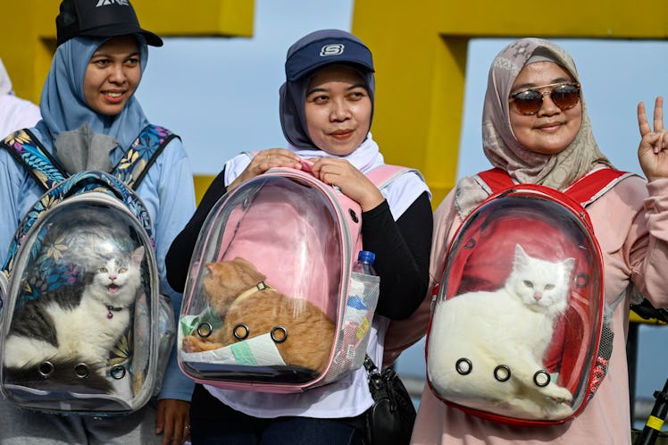 People carry their cats inside transparent container bags while taking part in an animal welfare cam...
