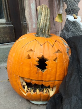A pumpkin with a carved face and moldy rotten teeth leaning on a black cloth enmeshed in a spider we...