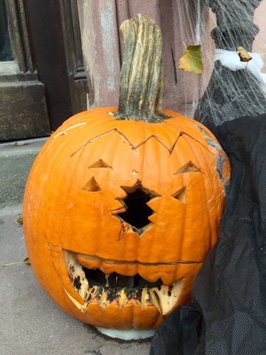 A pumpkin with a carved face and moldy rotten teeth leaning on a black cloth enmeshed in a spider we...