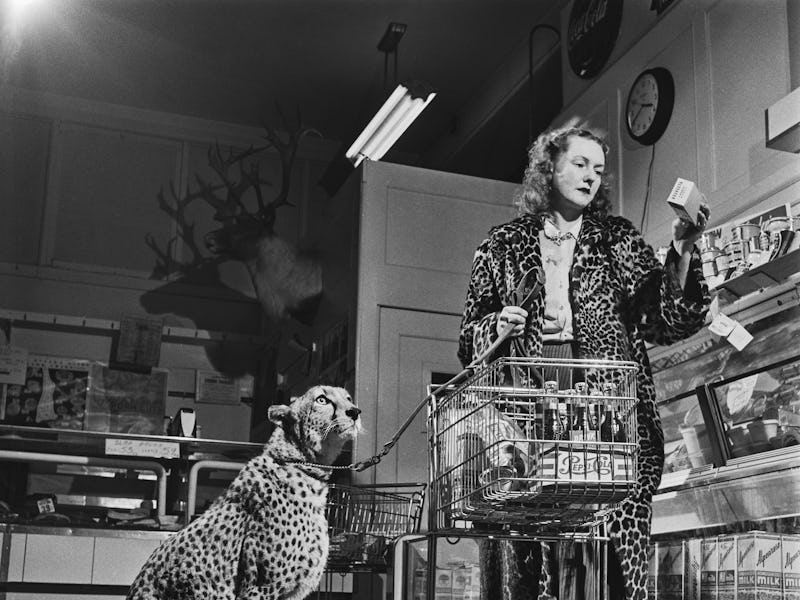 A woman wearing a leopard-skin fur coat takes her pet cheetah to the supermarket, USA, circa 1955. ...
