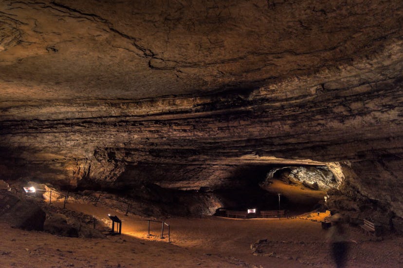 Mammoth Cave National Park, United States - September 9, 2018.
This image captured shows just how tr...