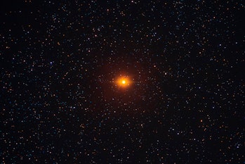 Betelgeuse is a red supergiant and the tenth-brightest star in the night sky. Taken at Natural park ...
