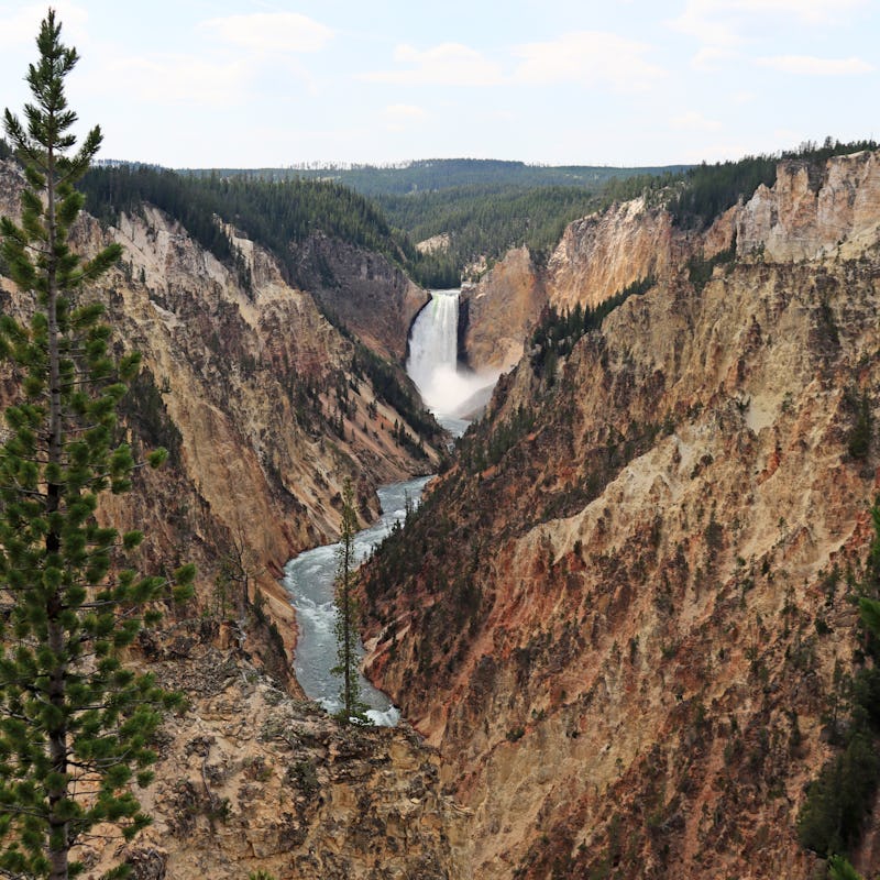 Lower Yellowstone Falls waterfall in Yellowstone National Park