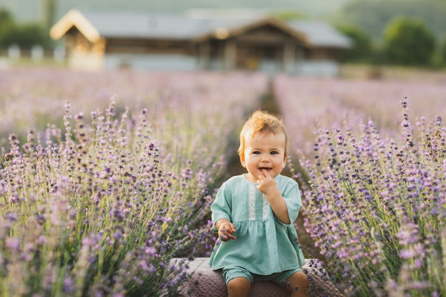 Happy cute laughing toddler baby girl sitting in purple blooming lavender field in the summer. in a ...