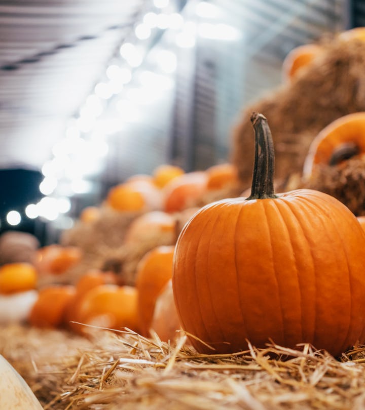 Many pumpkins on haystacks in an article about how to dispose of pumpkins after halloween 8 ways to ...