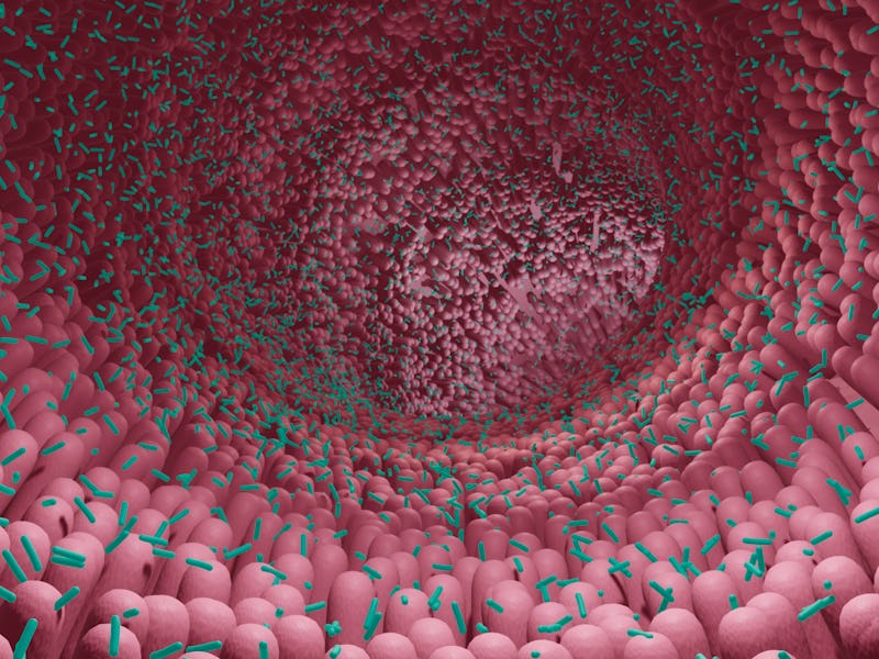 Human microbiome, illustration.
