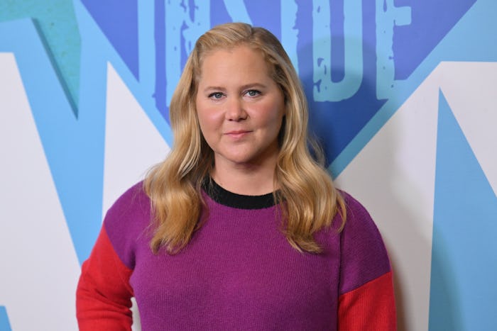 US actress and comedian Amy Schumer arrives for the season five New York premiere of Inside Amy Schu...