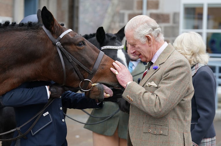 BALLATER, SCOTLAND - OCTOBER 11: King Charles III feeds carrots to horses as he attends a reception ...