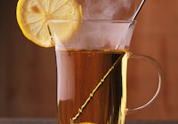 Steaming Cup of Hot Toddy cocktail garnished with dry lemon slice