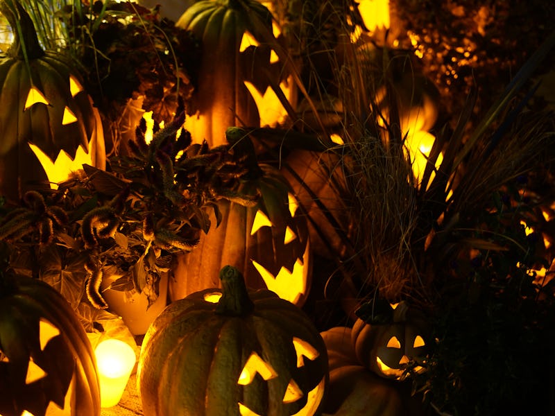 Image of Halloween jack lantern. Shooting Location: Yokohama-city kanagawa prefecture