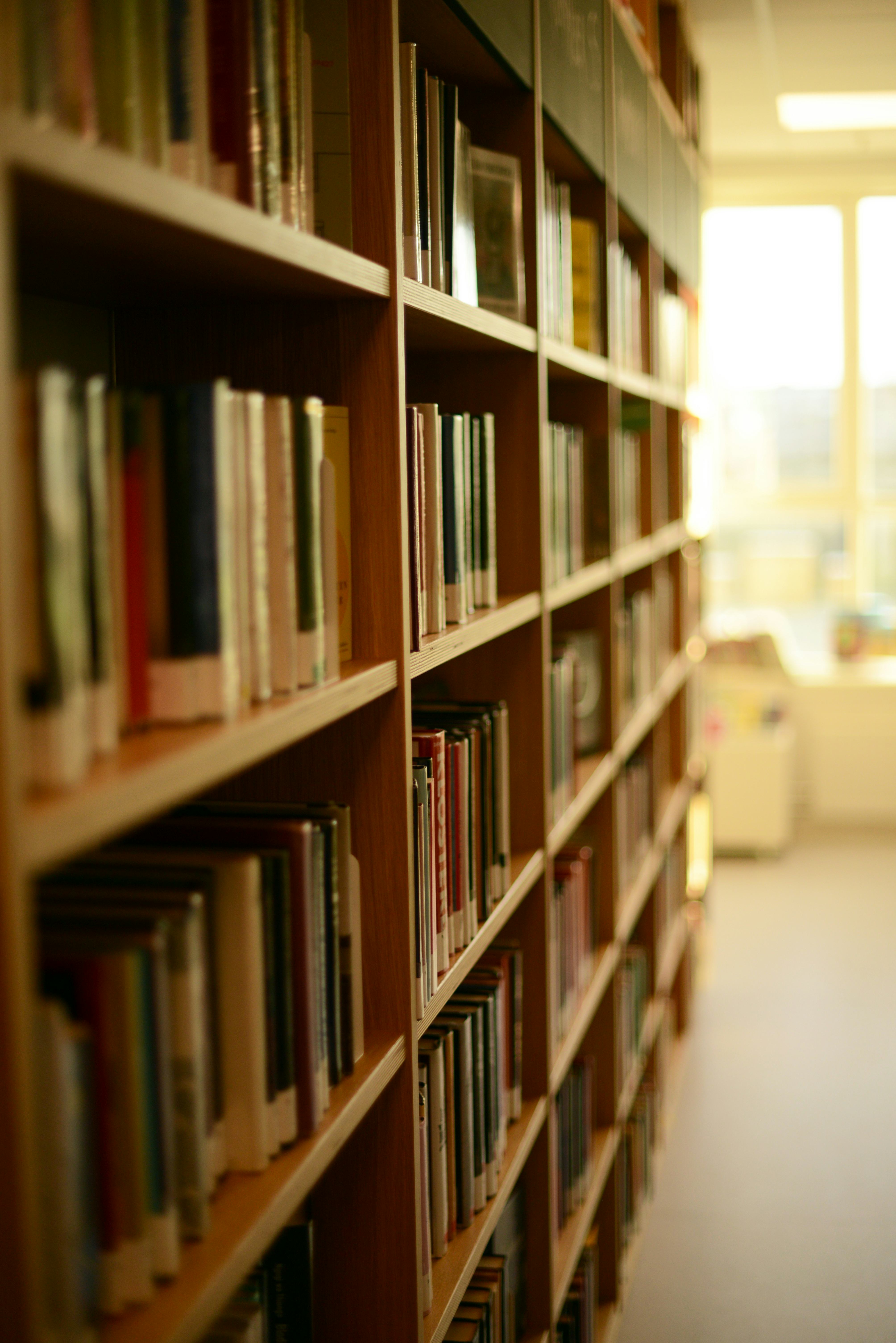 bookshelfs in a library