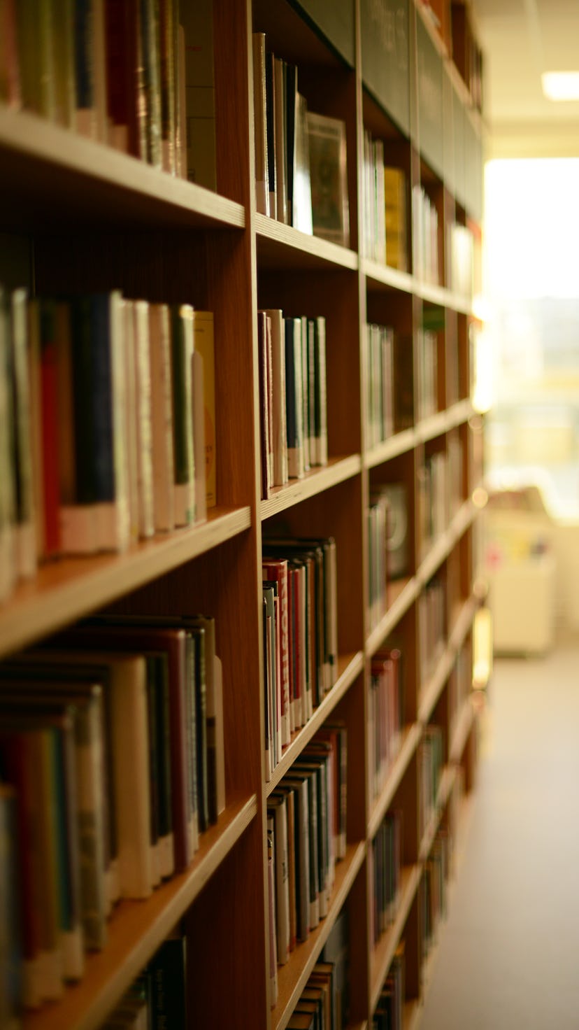 bookshelfs in a library