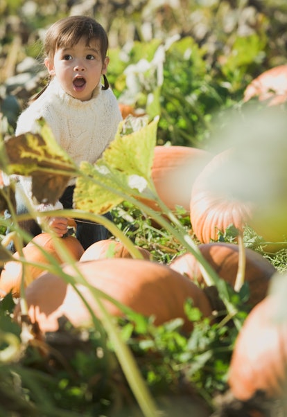 surprised child sitting in one of the best pumpkin patches in texas