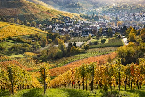 Vineyards and Uhlbach in golden morning light. Stuttgart, Baden-Württemberg, Germany.