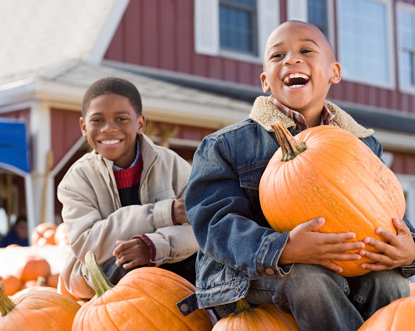 little boy holding a pumpkin at a pumpkin patch in a round up of pumpkin caption ideas