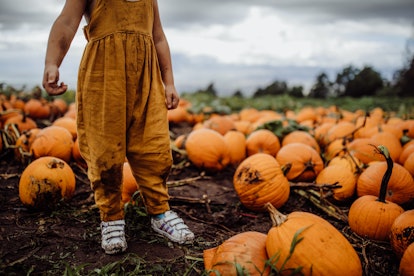 a child in a pumpkin patch in a round up of pumpkin instagram caption ideas