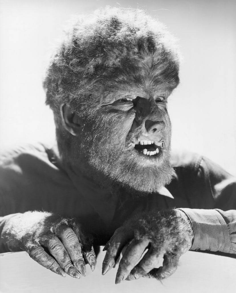 Lon Chaney Jr. as the Wolfman from the movieThe Wolfman. (Photo by George Rinhart/Corbis via Getty I...