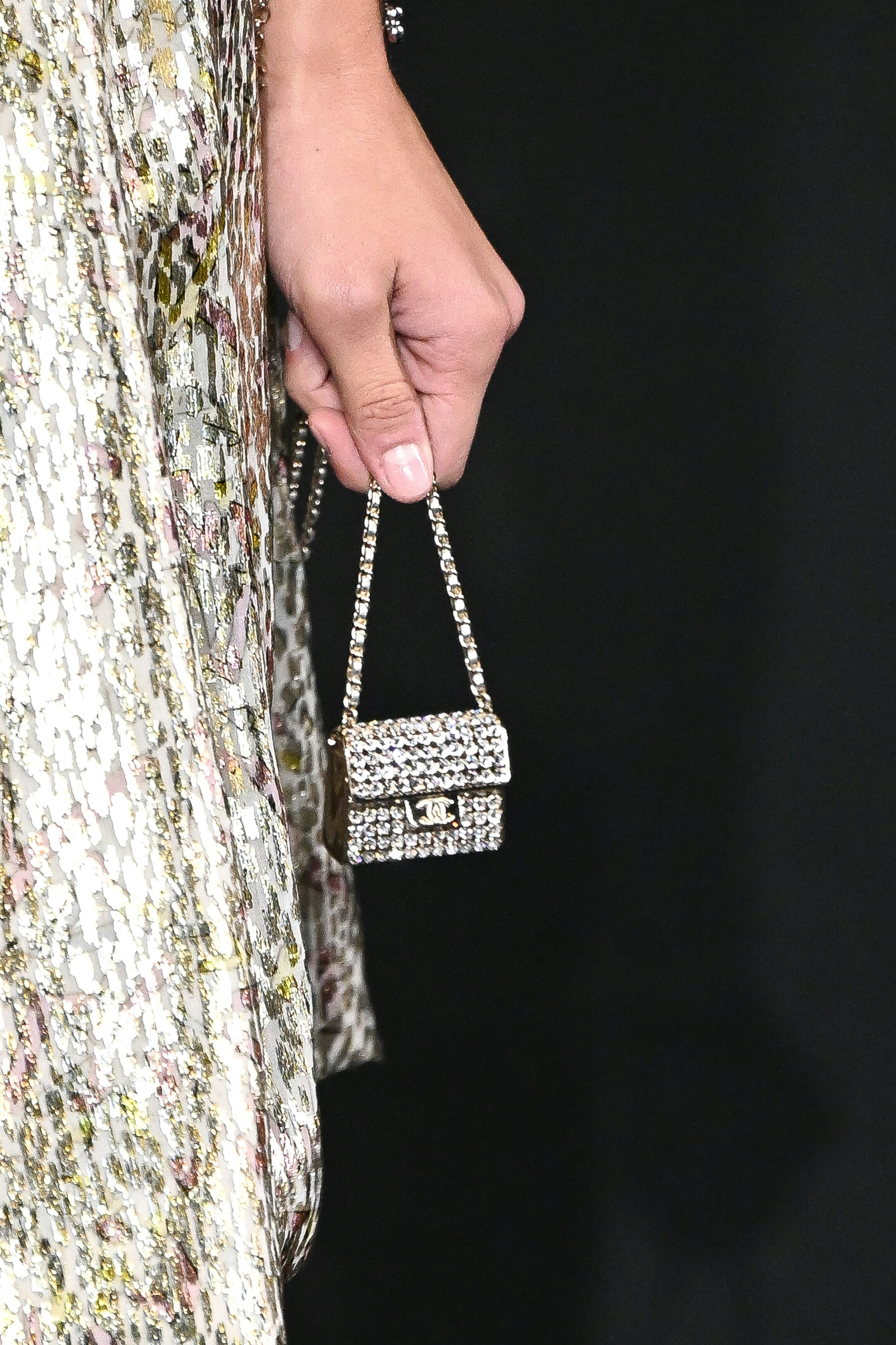 ArvindShops  Chanel Cruise 2023 Bags Are Here and We Are Obsessed  chanel  spring 2022 couture collection photos paris fashion week