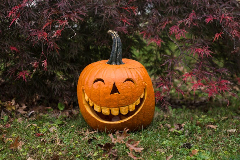 A jolly carved pumpkin for Halloween in a round up of pumpkin captions for instagram