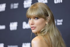 Taylor Swift's new song "Karma" sparked theories this old rumor could be true.