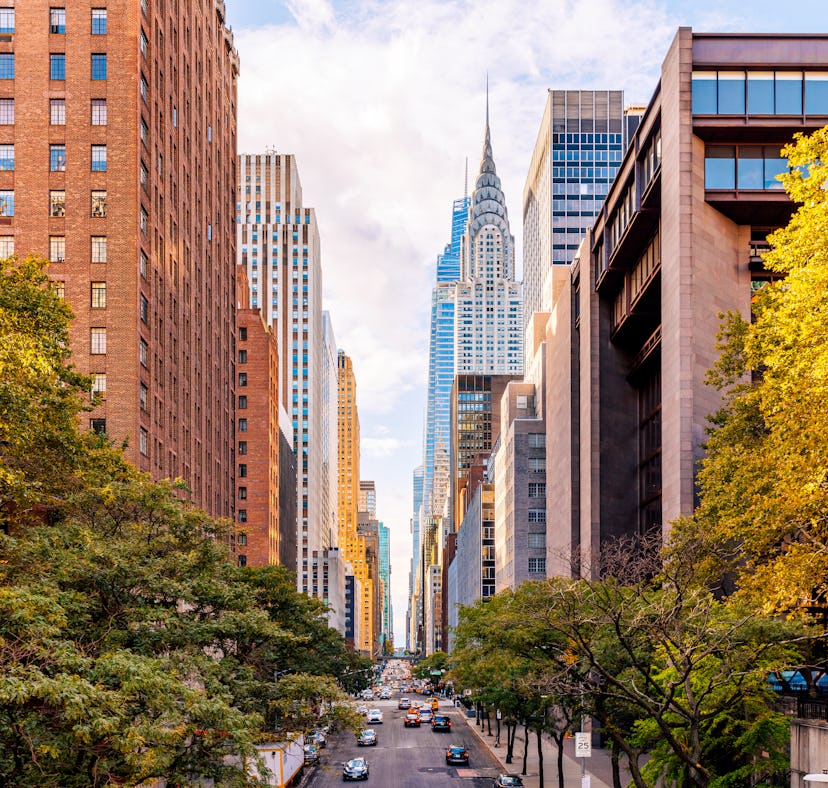 These hidden gems in nyc include so many TikTOk recommendations.