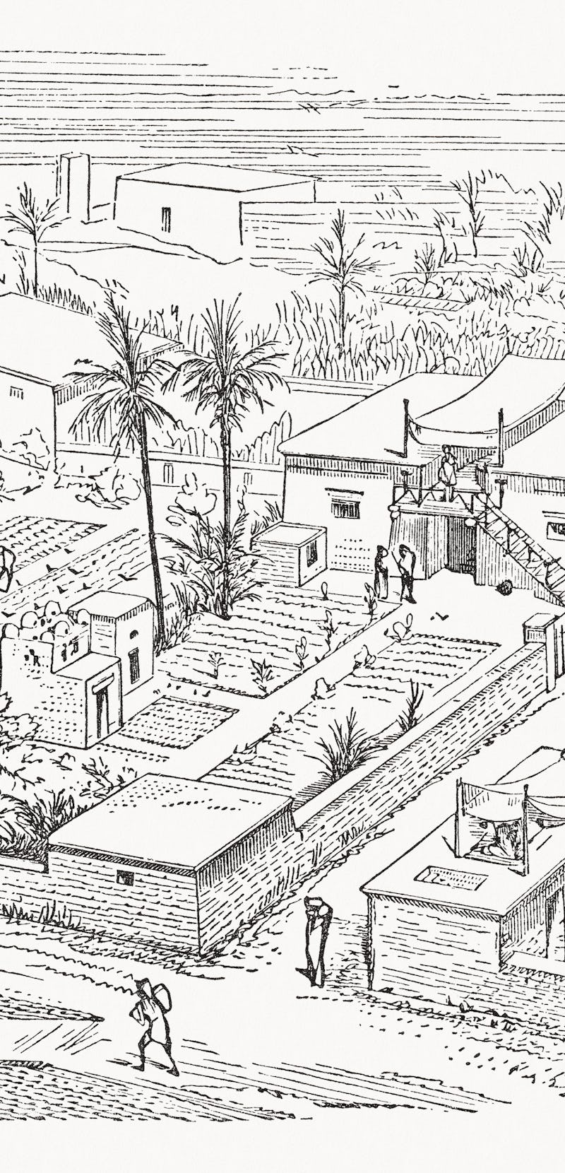 Rural residential house in ancient Egypt. Wood engraving, published in 1893.