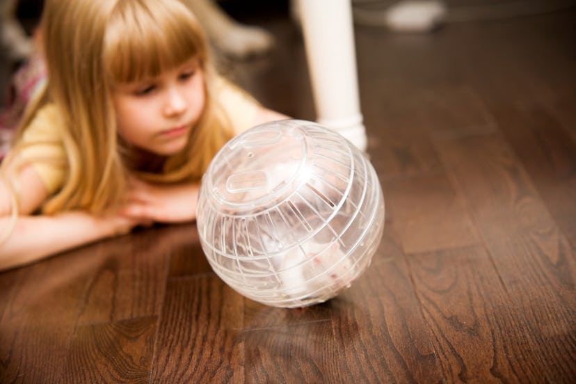 kid playing with hamster as an elf on the shelf pet idea