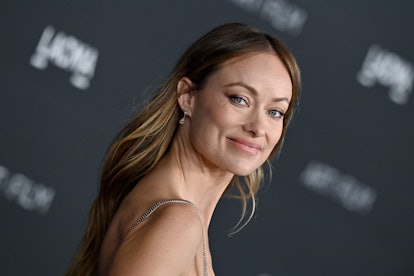 LOS ANGELES, CALIFORNIA - NOVEMBER 05: Olivia Wilde attends the 11th Annual LACMA Art + Film Gala at...