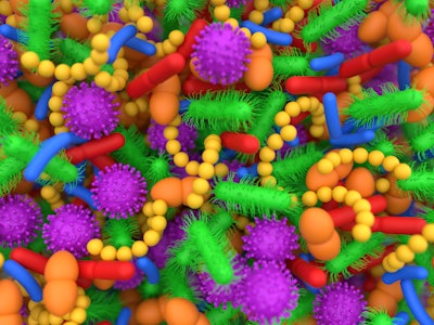 Conceptual illustration of human microbiome microbes. The microbiome is the collection of microbes f...