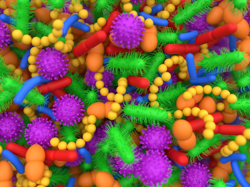 Conceptual illustration of human microbiome microbes. The microbiome is the collection of microbes f...