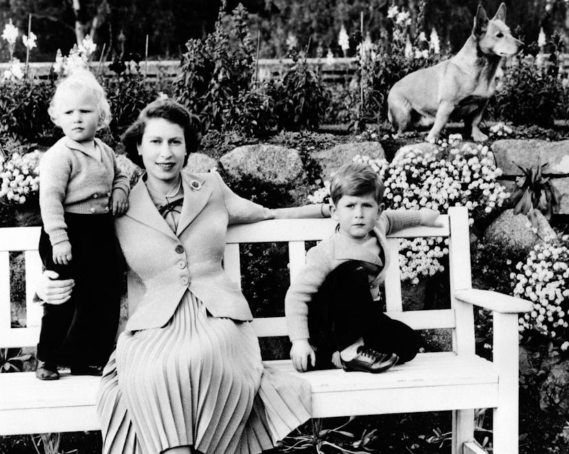 Family group at Balmoral, Scotland, showing the Queen, Prince Charles and Princess Anne on a garden ...