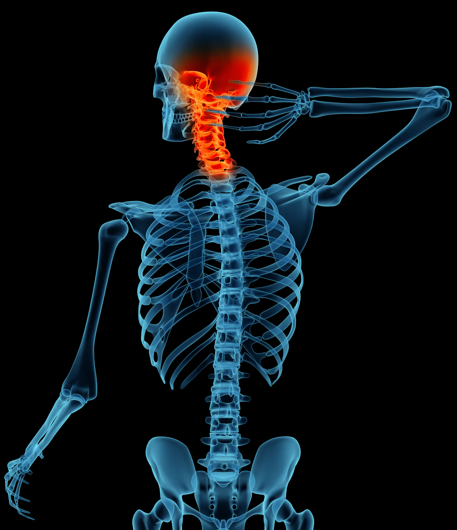 Inflammation: Immune system science explains why the body attacks itself