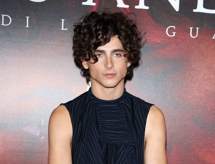 MILAN, ITALY - NOVEMBER 12: Timothée Chalamet attends the photocall for "Bones And All" on November ...