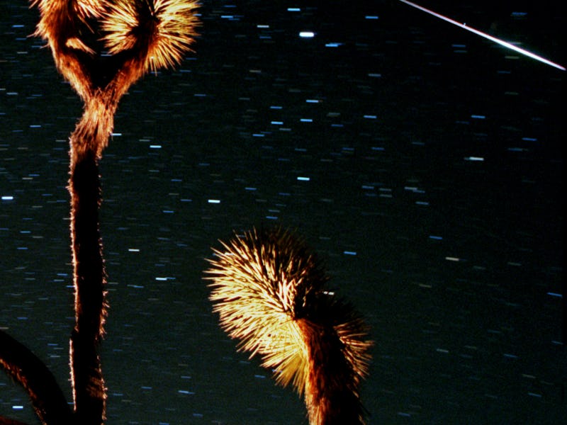 AA.meteor.streak.1117.RLJoshua TreeA meteor from the Leonid Meteor Storm streaks across the nigh...
