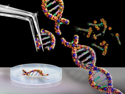 Genetic engineering, conceptual illustration.
