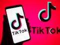 Here's how to get the Trickster voice effect on TikTok to use the cartoon sound.
