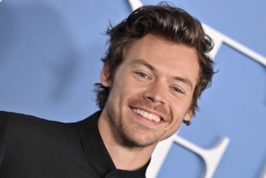 LOS ANGELES, CALIFORNIA - NOVEMBER 01: Harry Styles attends the Los Angeles Premiere of "My Policema...