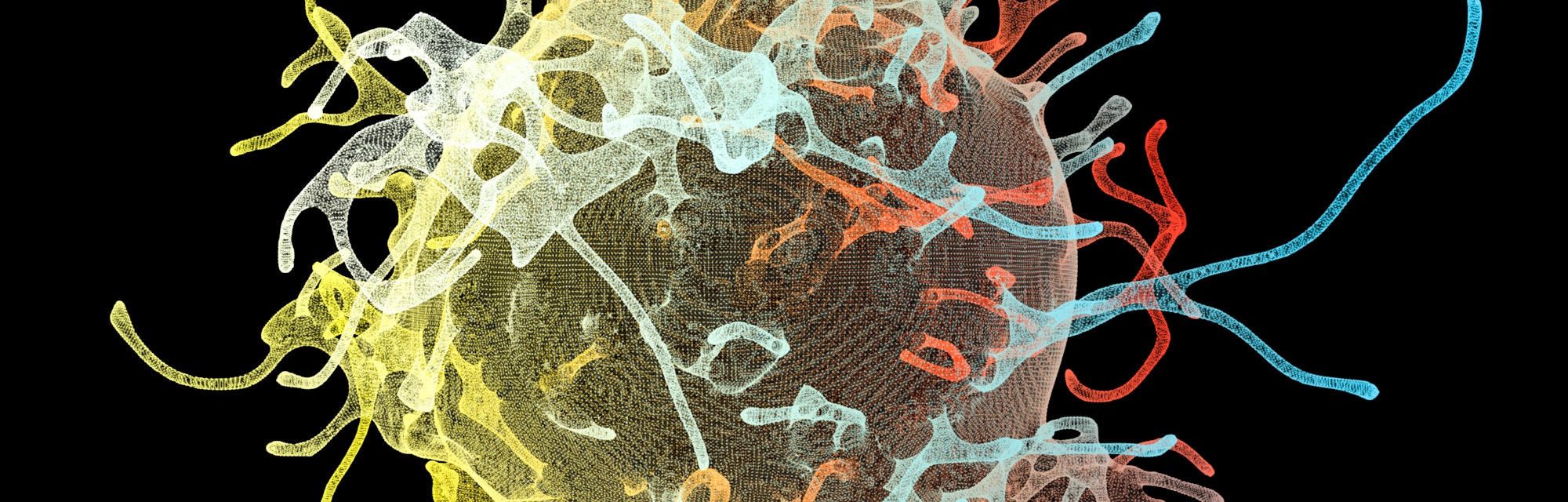 Cancer cells, computer illustration.