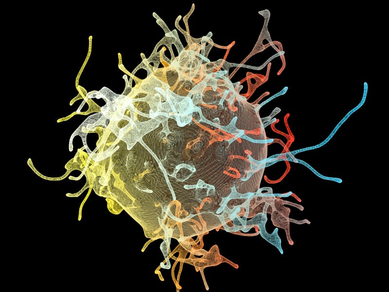 Cancer cells, computer illustration.