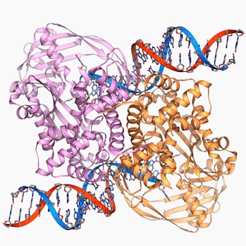  CRISPR could help bacteria destroy cancer and gulp up methane 265f4bdd-f48f-48f5-b140-d0987a8adc27-getty-185759442