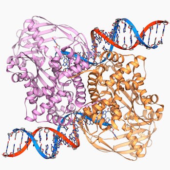  CRISPR could help bacteria destroy cancer and gulp up methane 265f4bdd-f48f-48f5-b140-d0987a8adc27-getty-185759442