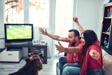 Couple And Their German Shepherd Dog Cheering During Sports Match