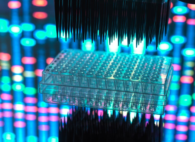 DNA (deoxyribonucleic acid) samples being tested with a DNA profile on a computer screen in the back...