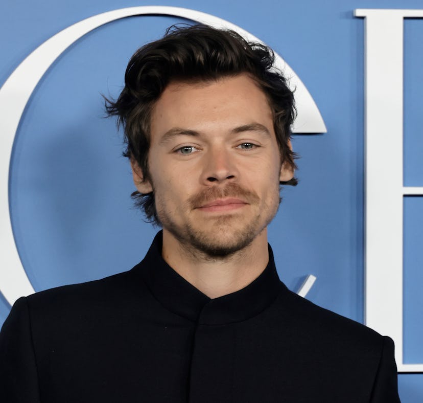 LOS ANGELES, CALIFORNIA - NOVEMBER 01: Harry Styles arrives at the Los Angeles premiere of "My Polic...