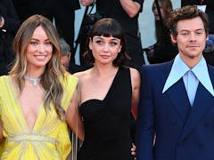 Harry Styles and Olivia Wilde reportedly broke up.