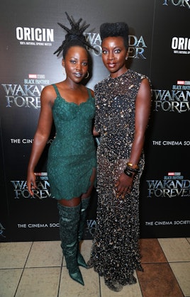 NEW YORK, NEW YORK - NOVEMBER 01: Lupita Nyong'o and Danai Gurira attend the Black Panther: Wakanda ...
