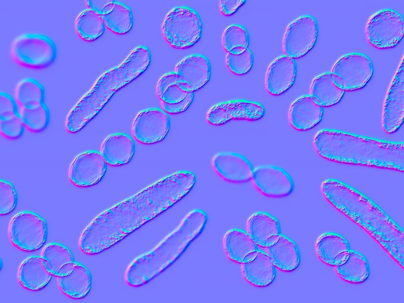 Illustration of bacteria of different shapes, including cocci and rod-shaped bacteria.