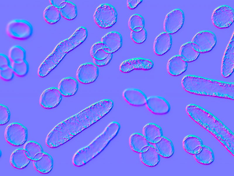 Illustration of bacteria of different shapes, including cocci and rod-shaped bacteria.