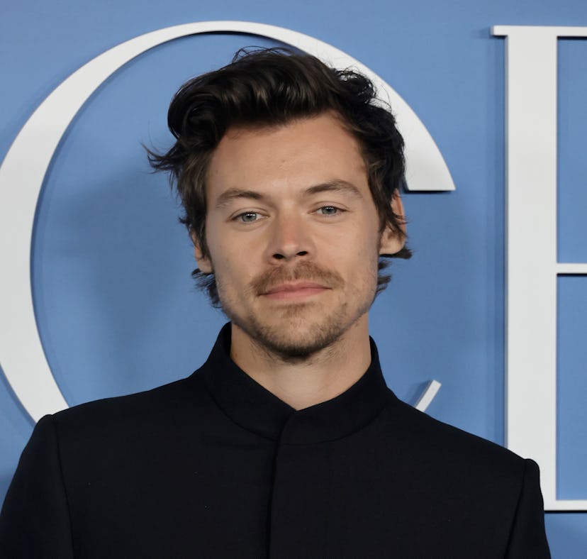 Harry Styles answered to "Daddy" during his concert.